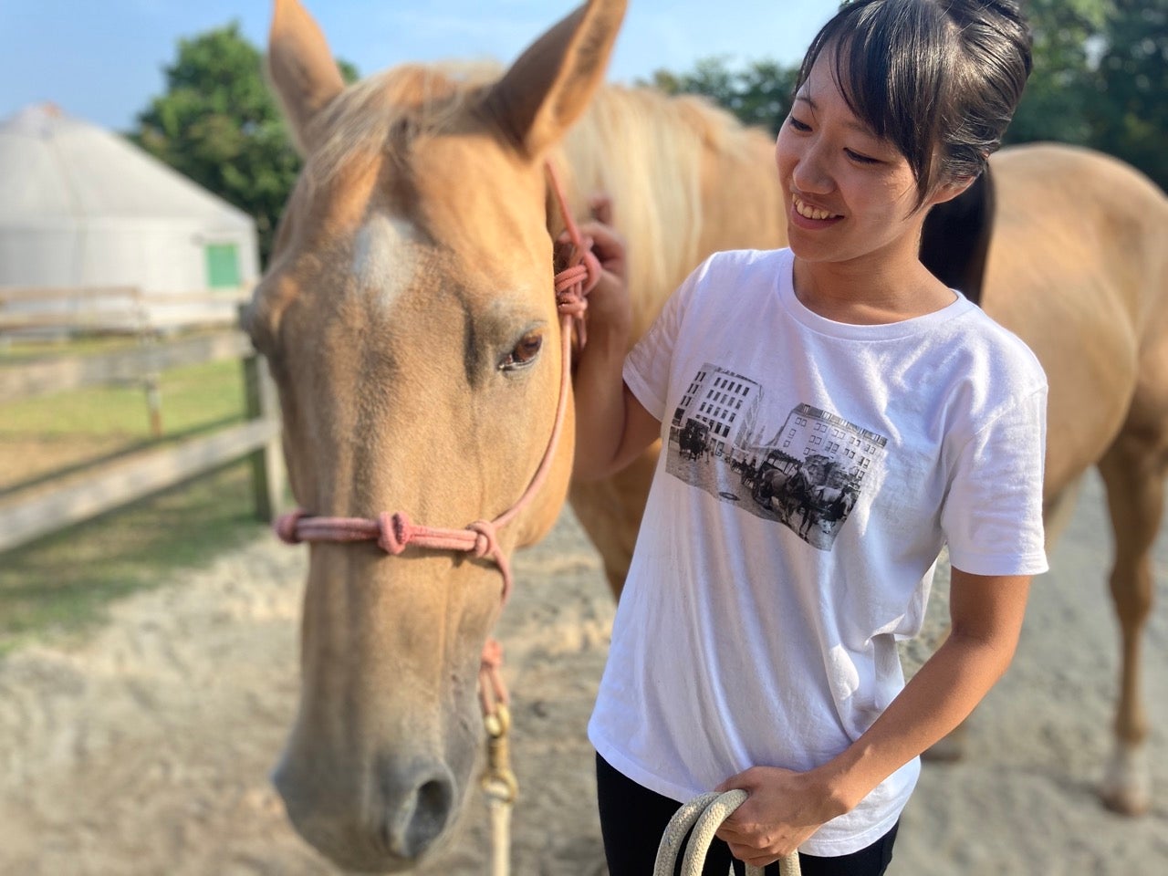 自宅で学ぼう！ホースセラピーの効果や事例を学べるオンライン勉強会